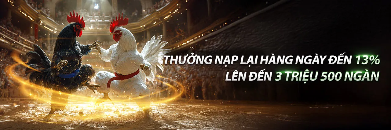 Đá gà cựa sắt kịch tính