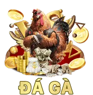 Đá gà cựa dao đầy thử thách