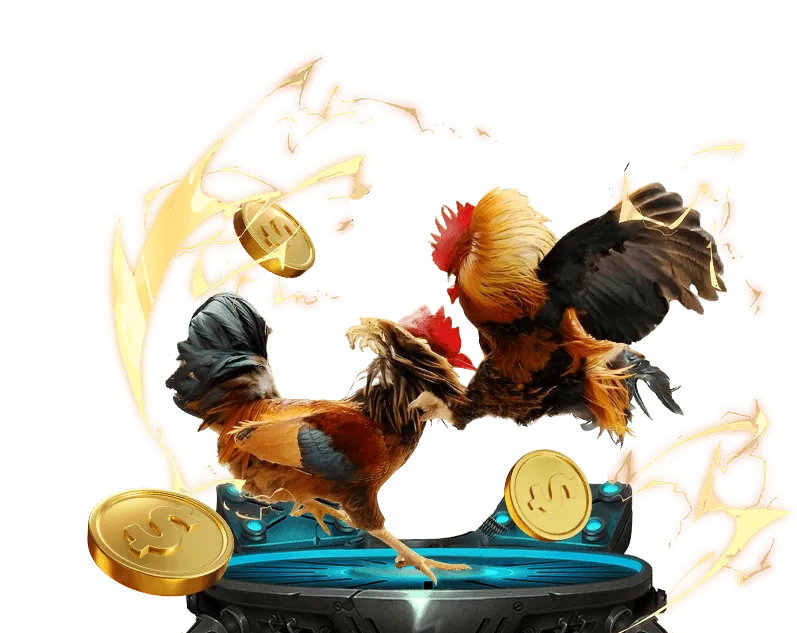 Banner khuyến mãi thể thao